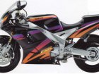 Yamaha FZR 1000 EXUP